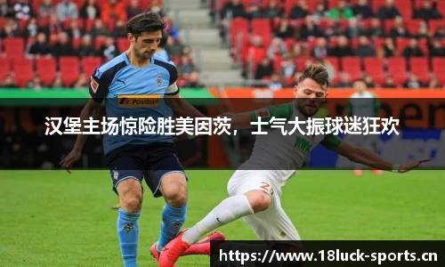 新利体育