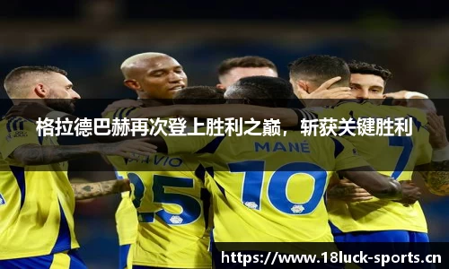 新利体育