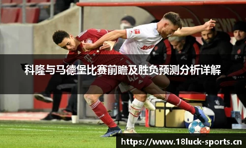 新利体育平台