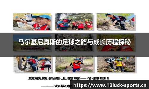 新利体育官网