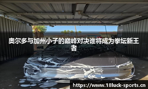 新利体育