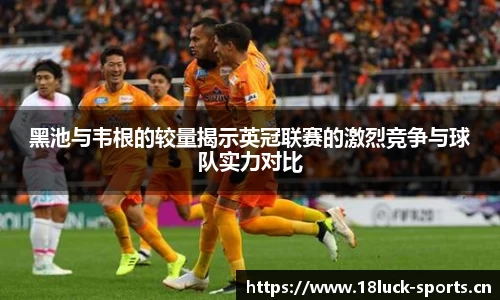 新利体育