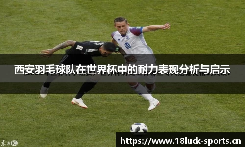 新利体育官网