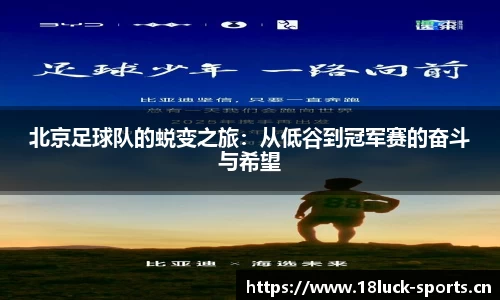 新利体育官方网站